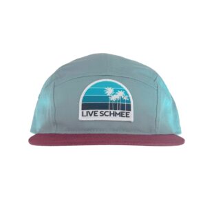 Live Schmee 5 Panel